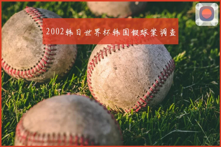 2002韩日世界杯韩国假球案调查
