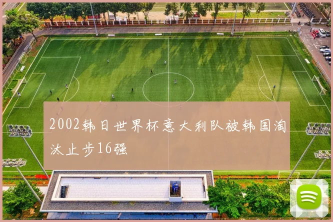2002韩日世界杯意大利队被韩国淘汰止步16强