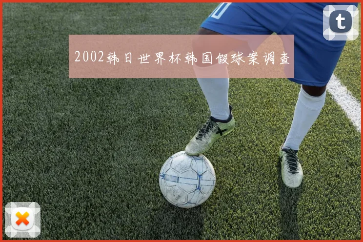 2002韩日世界杯韩国假球案调查